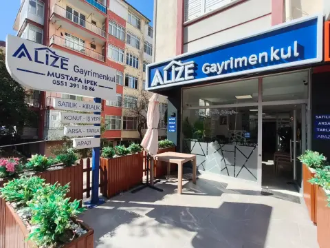 Alize Gayrimenkul